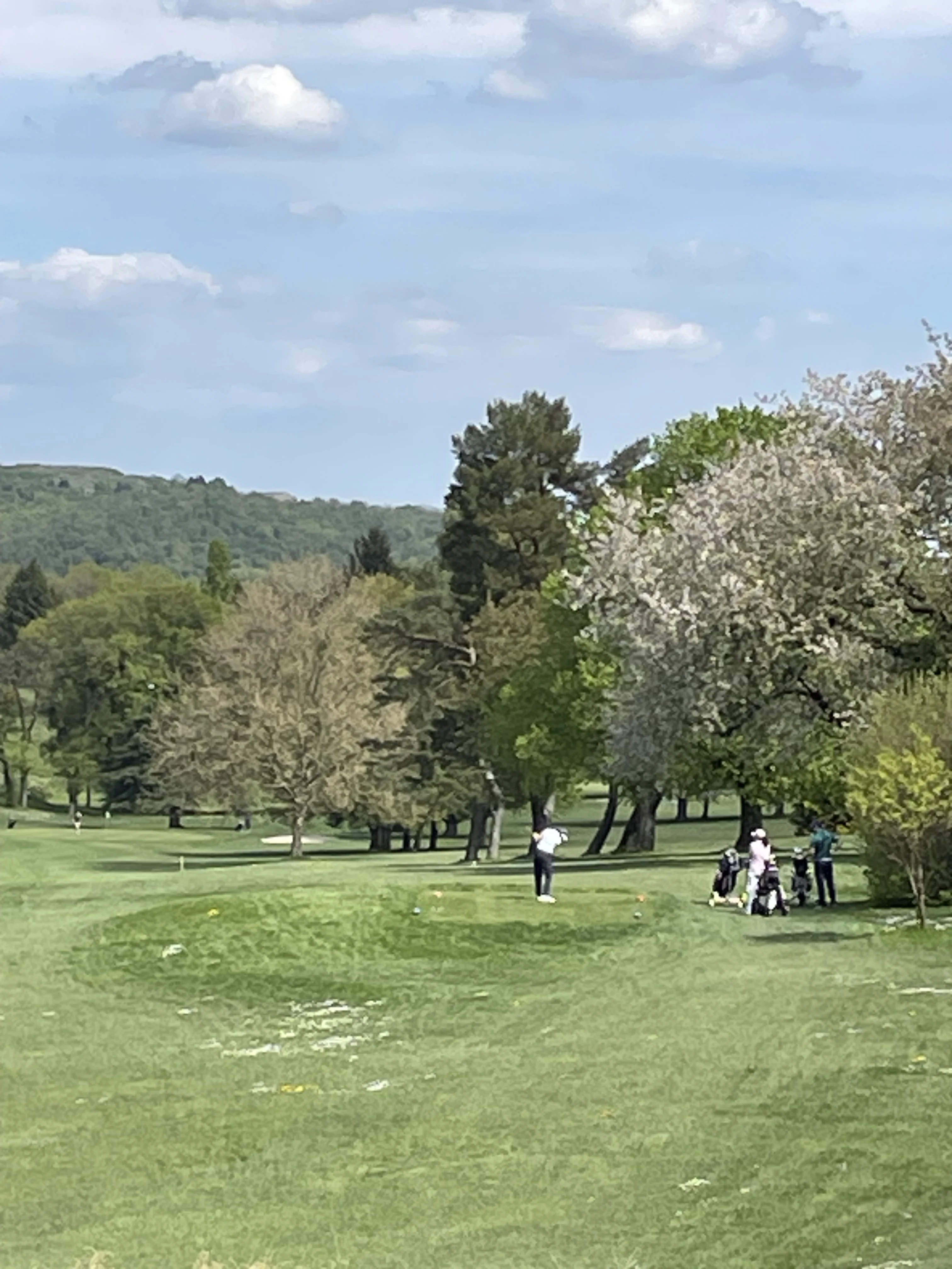 Des conditions idéales